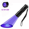 UV Light